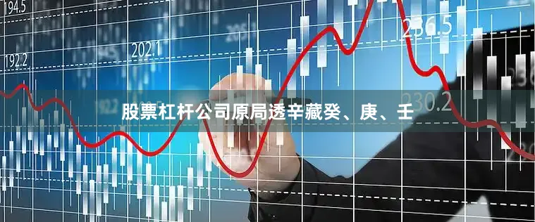股票杠杆公司原局透辛藏癸、庚、壬