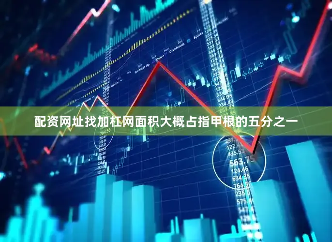 配资网址找加杠网面积大概占指甲根的五分之一
