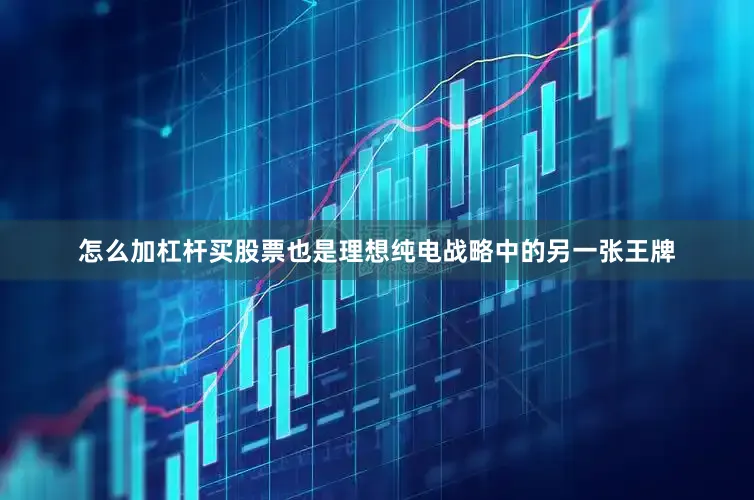 怎么加杠杆买股票也是理想纯电战略中的另一张王牌